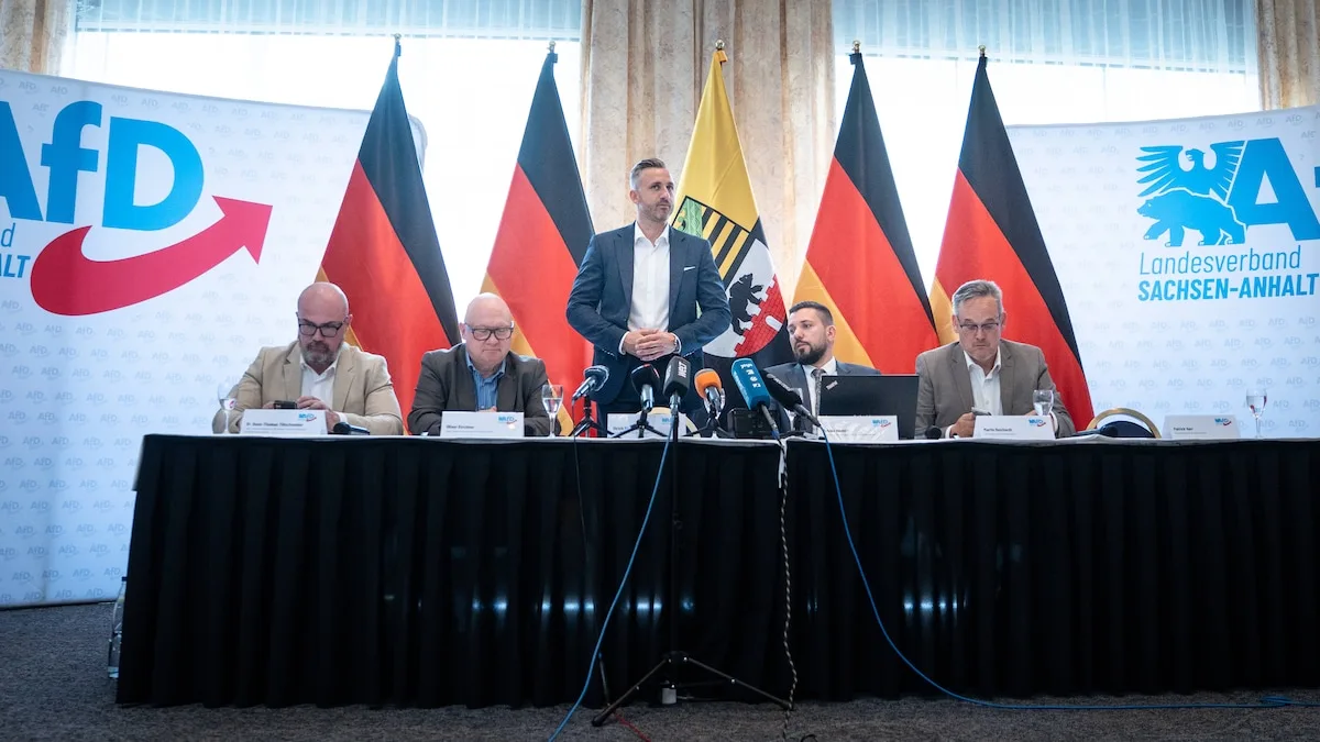 Is AfD the Only Party with Social Events in Sachsen-Anhalt?