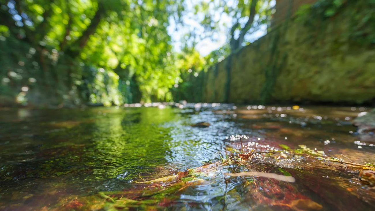 Water Crisis in Germany: Severe Restrictions on Water Extraction!