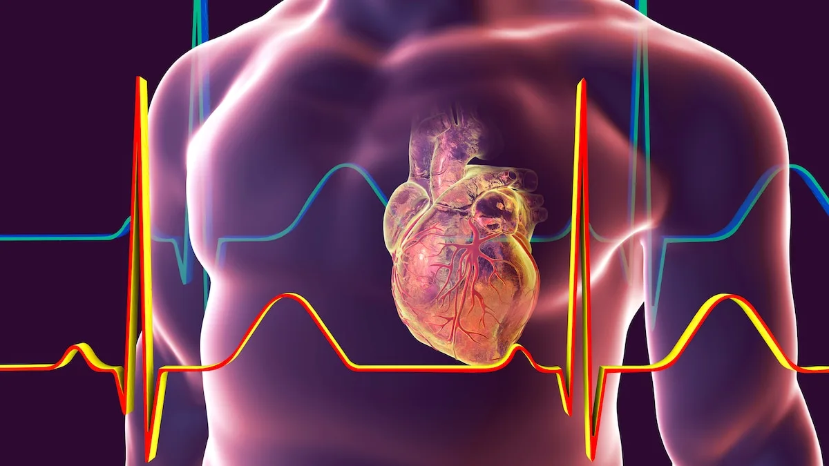 Warning! Recognize the 7 Dangerous Signs of Sudden Cardiac Death