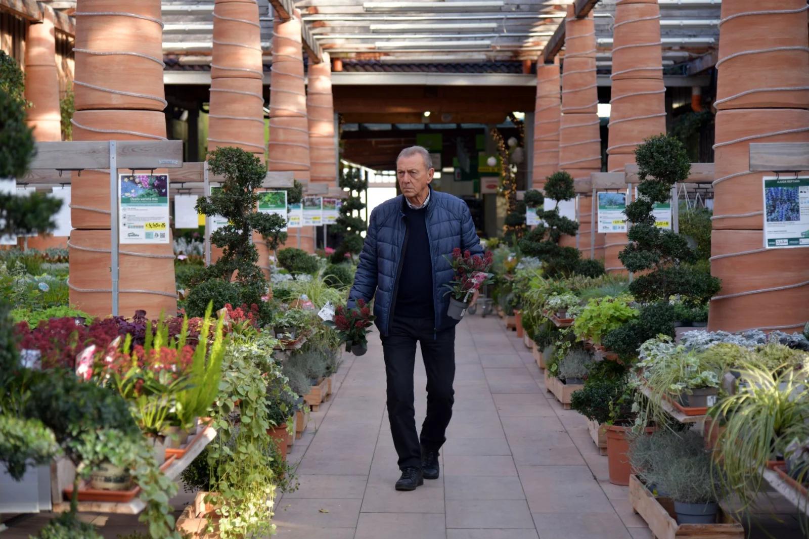 Augsburg Gardening Center: On the Brink of Bankruptcy and a Bold Rescue