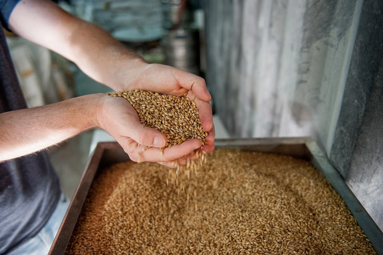 Crisis in the Beer World: Is Germany a Negative Example?
