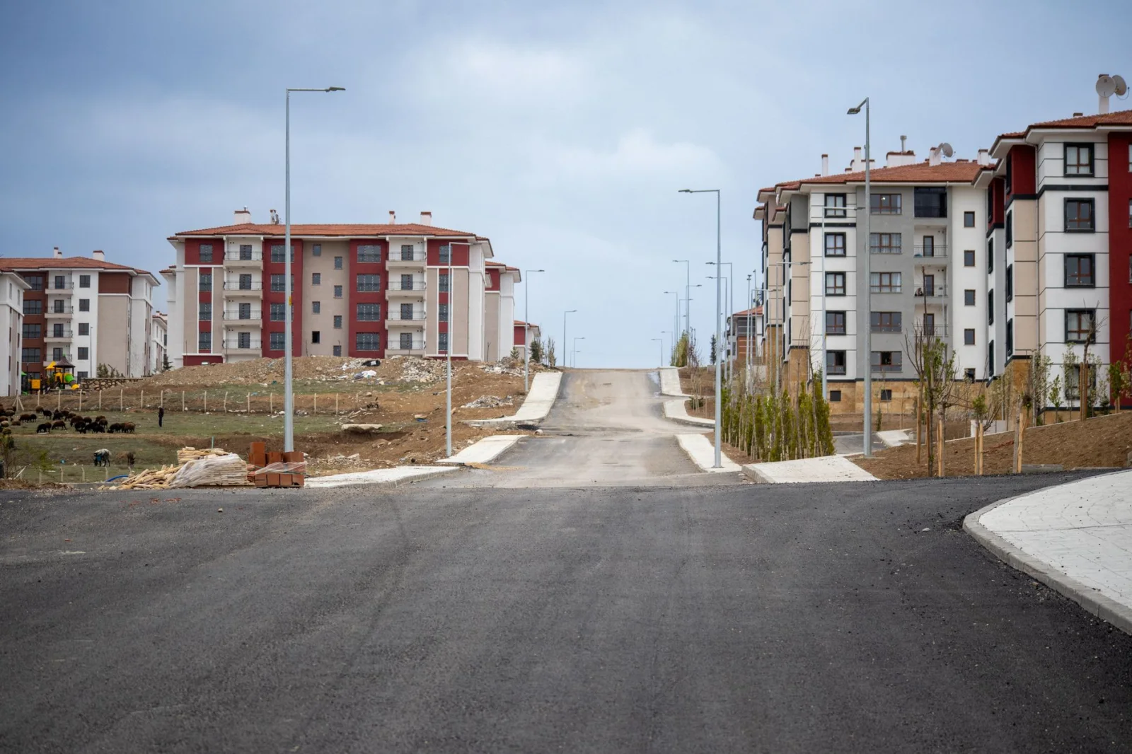 A Bright Future: 24 New Housing Units Next to the Forest