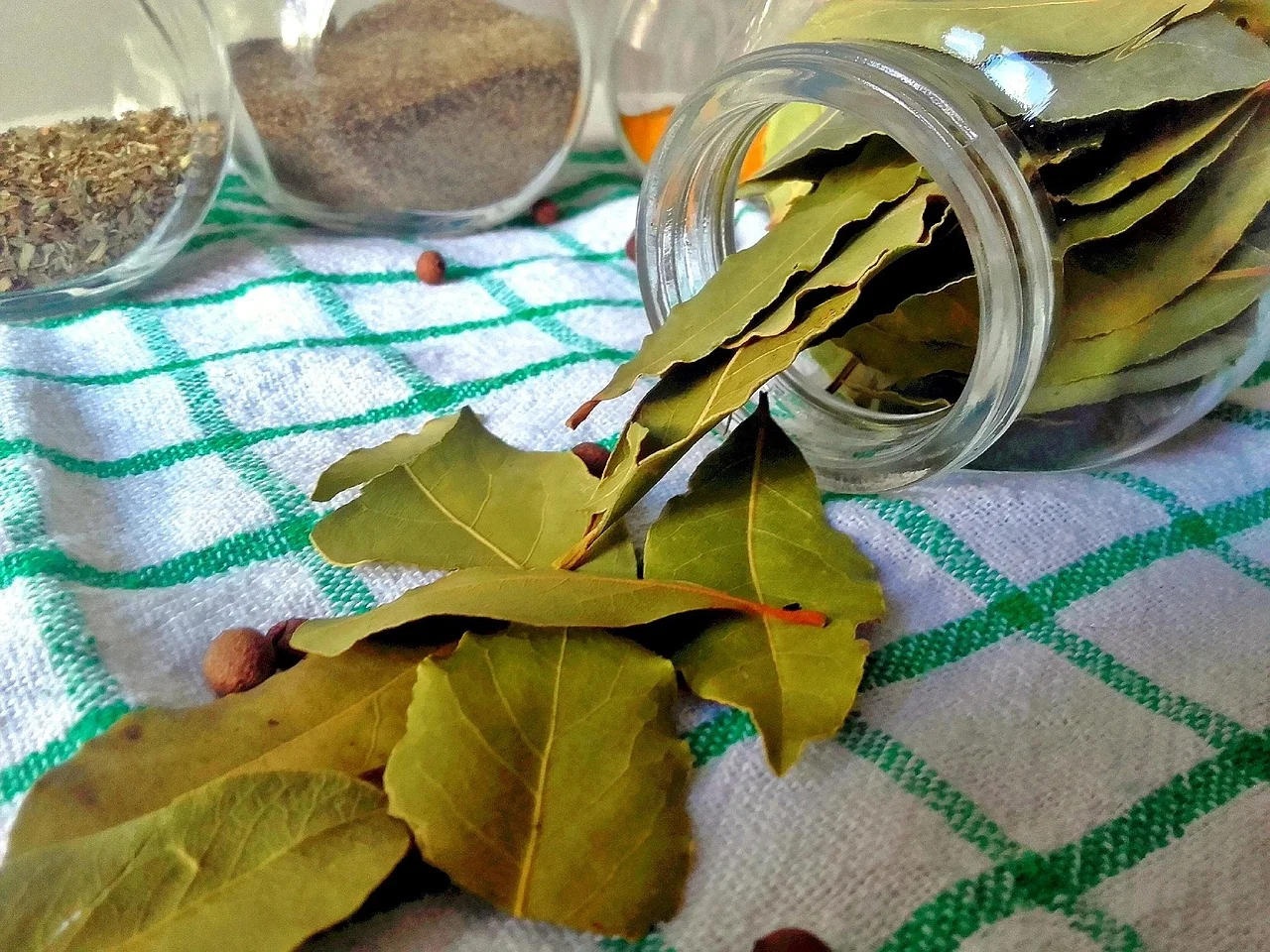 Can Laurel Leaves Be Eaten? Hidden Secrets in the Kitchen!