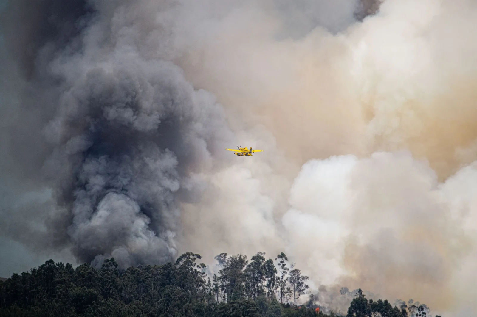 Massive Fire in the Nuremberg Forests; Camp and Concert Evacuated!