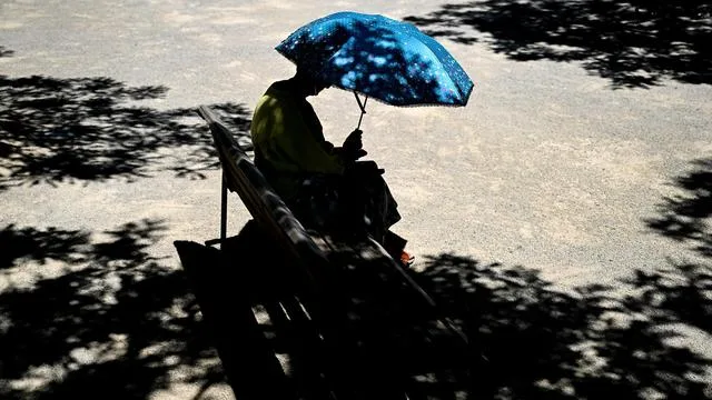 Heatwave in Germany: Over 800 People Have Died