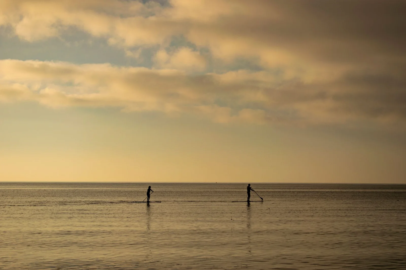 Yoga in the Heart of Water: A Unique Experience with SUP
