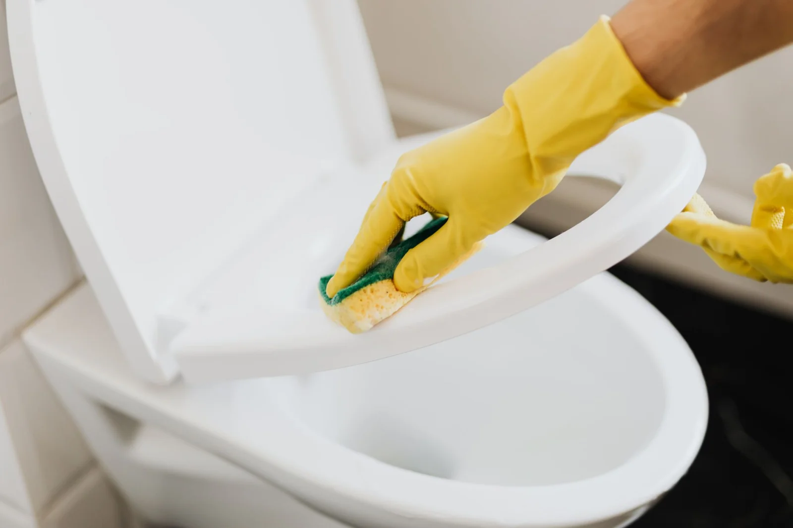 Concerning Claim About Cleanliness: Are Toilet Stones Just a Deception?