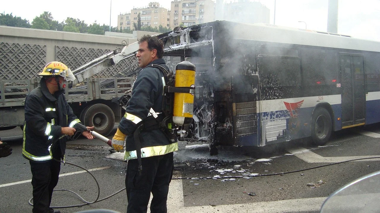 Strange Incident on the Bus: A Fly's Flight and Four Injured!