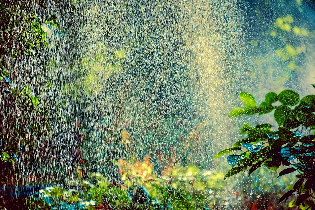 Scorching Summer: Will the Unprecedented Heat Return?