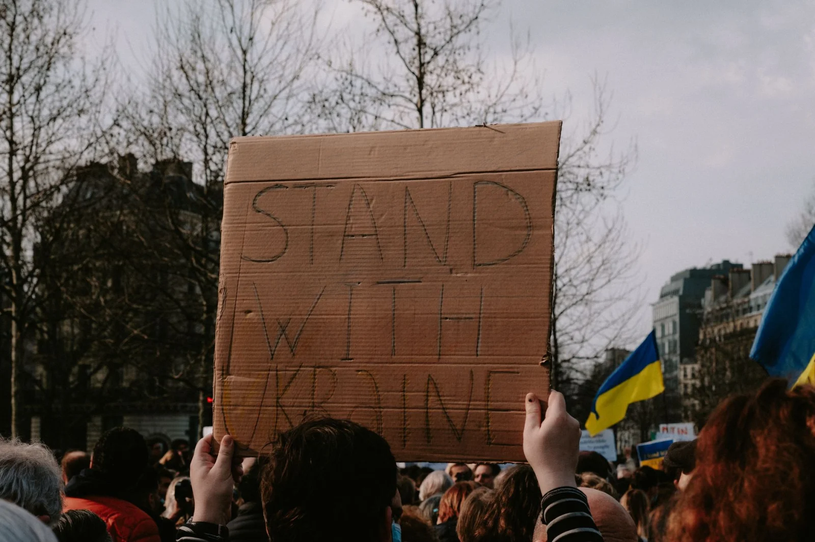 Transformation in Ukraine: Energy Director Appointed as Prime Minister