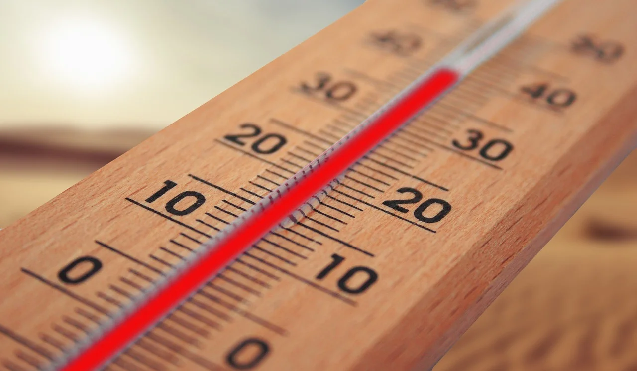 The Summer Heat That Changes Lives