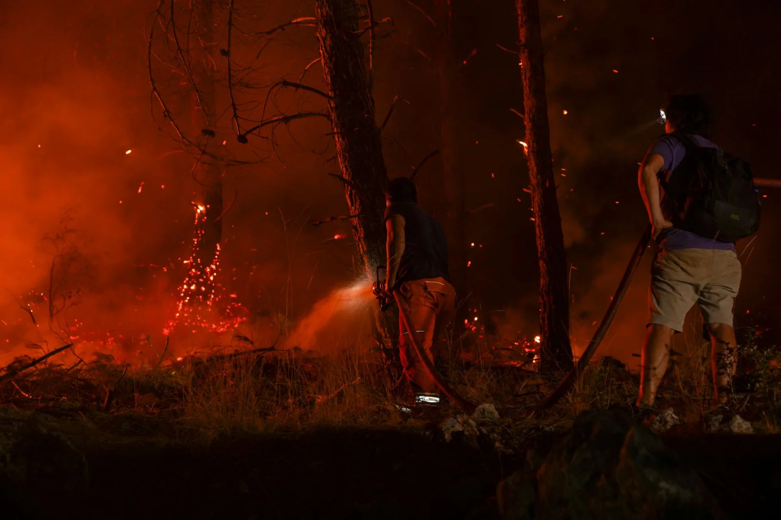 Forest Fire in Germany: Unceasing Efforts of Firefighters in Cologne