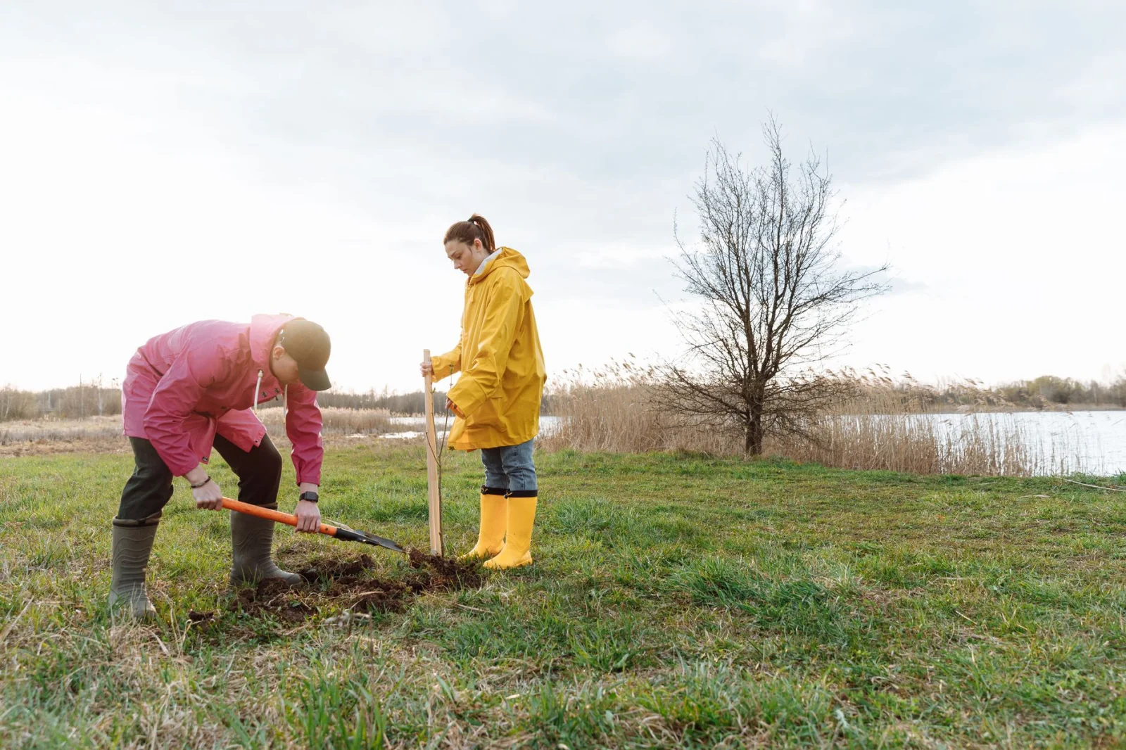 Saving Lives: Hidden Heroes in the Heart of the Fields