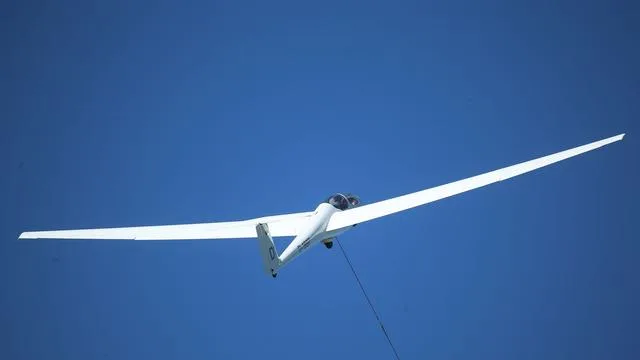 Aerial Crash: Glider Pilot Made Emergency Landing in a Farm and Survived