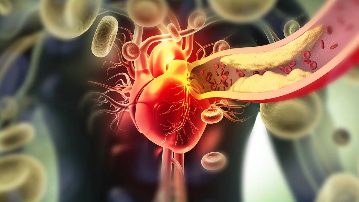 Three Golden Keys to Heart Health: Lp(a), ApoB, and Triglycerides