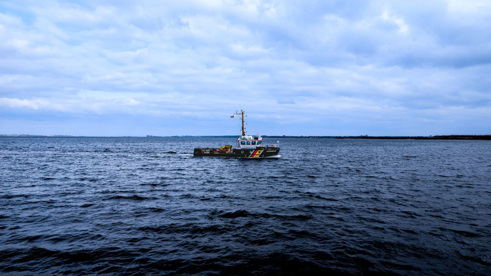 Wonders of the Sea: The Unexpected Rescue of a Giant Whale on the Baltic Coast