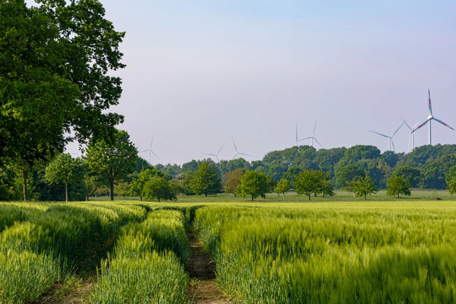New Warning: Heat and Threat to Renewable Energy in Hessen