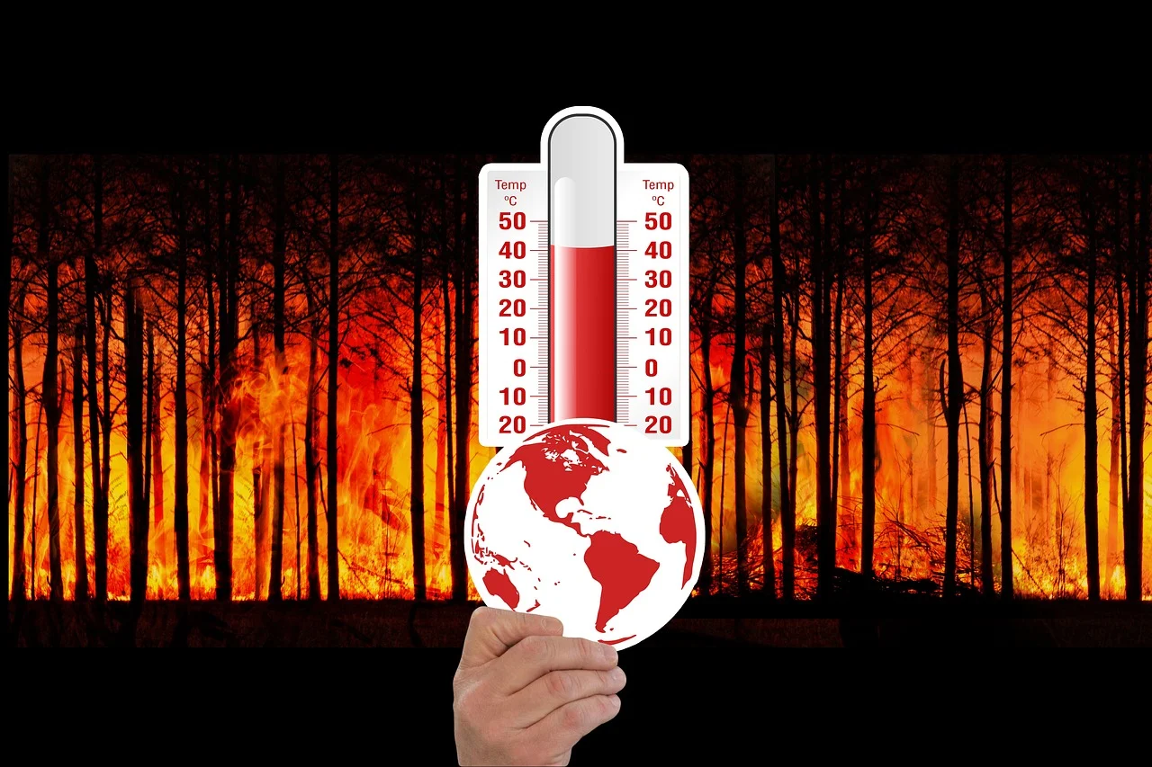UN Warning: El Niño is Burning the World!