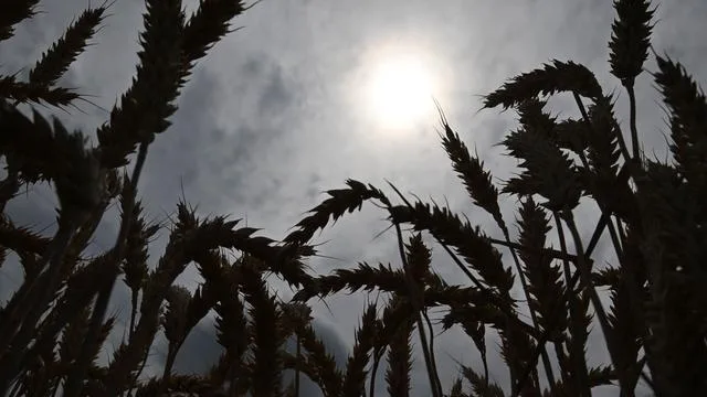 Hot Weather: Where to Expect 30 Degrees of Heat?