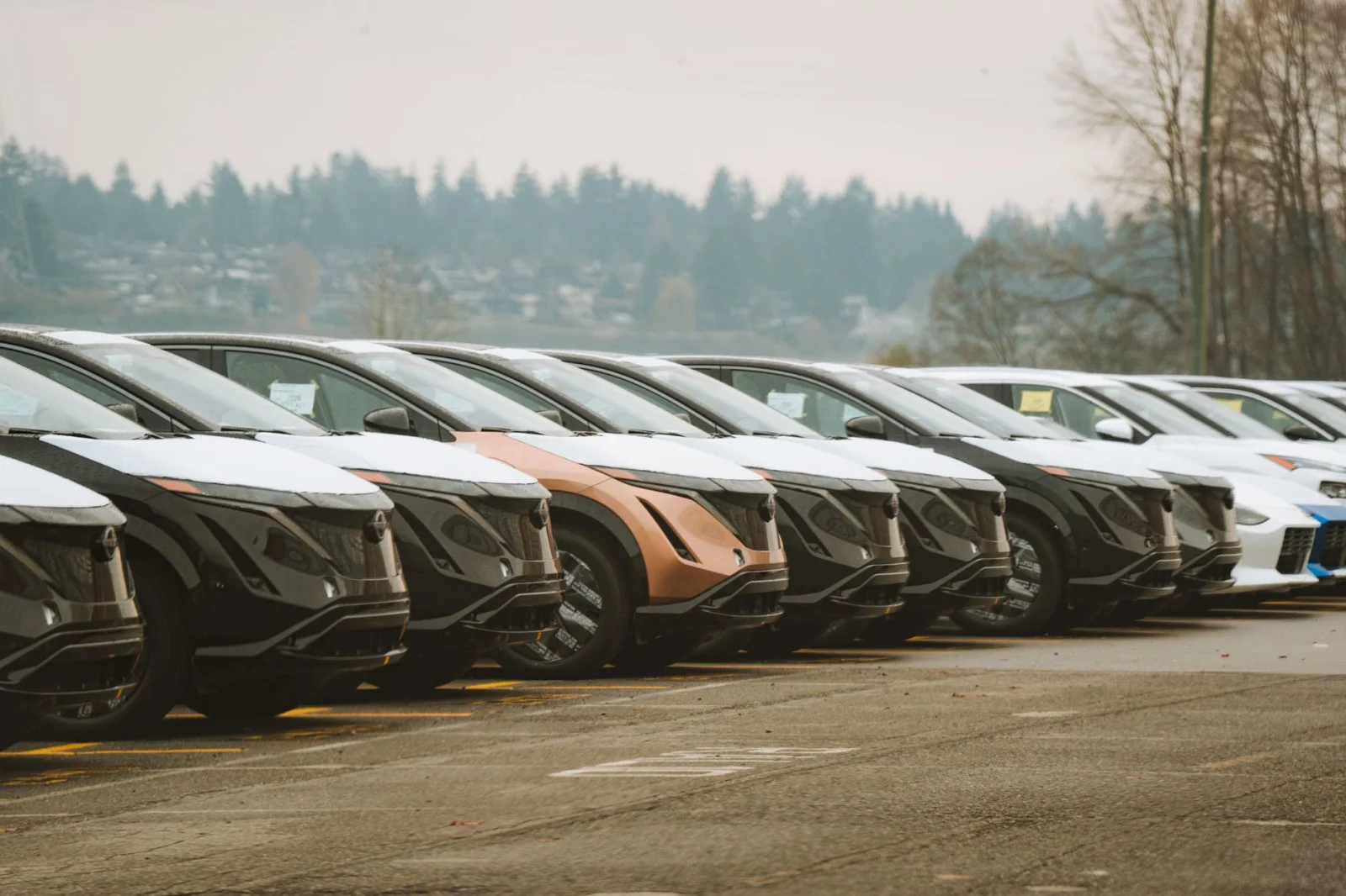 Electric Boom: Electric Cars Dominate the Market