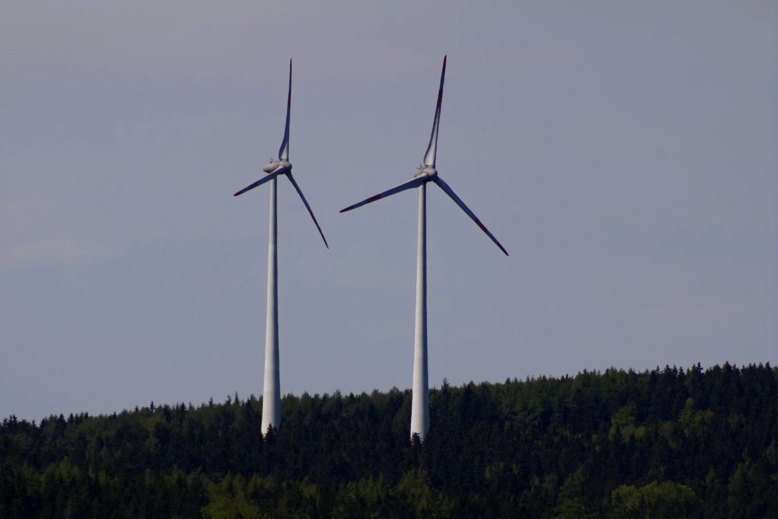 Can Wind Turbines Save Forests?