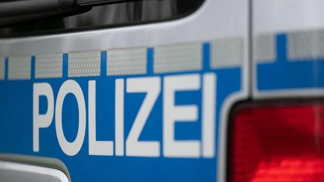 A Tragic Incident in Stuttgart: Injured Dog Loses Its Life