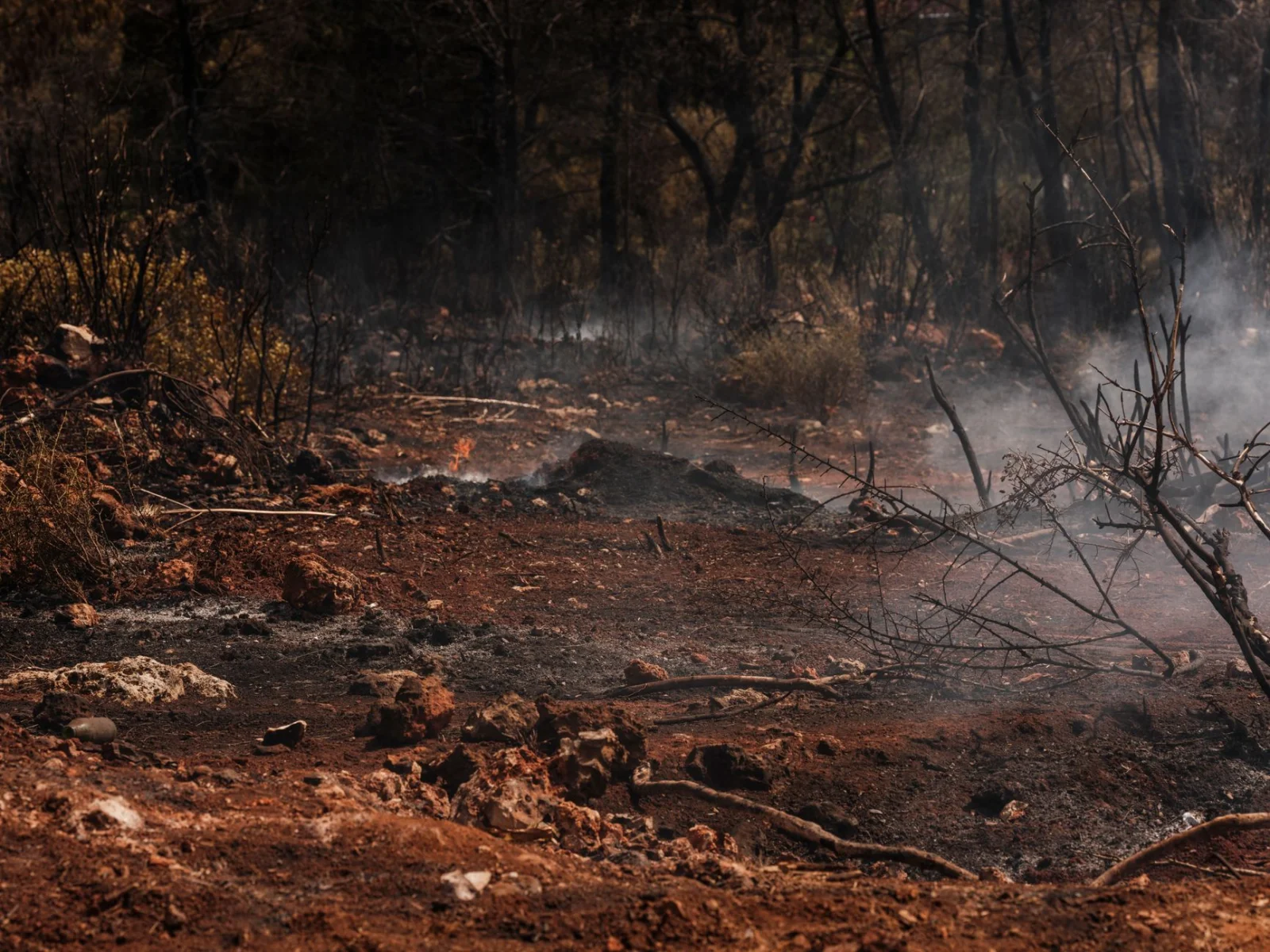 Large Fire in Saale-Oder: Traffic Disrupted on A9!