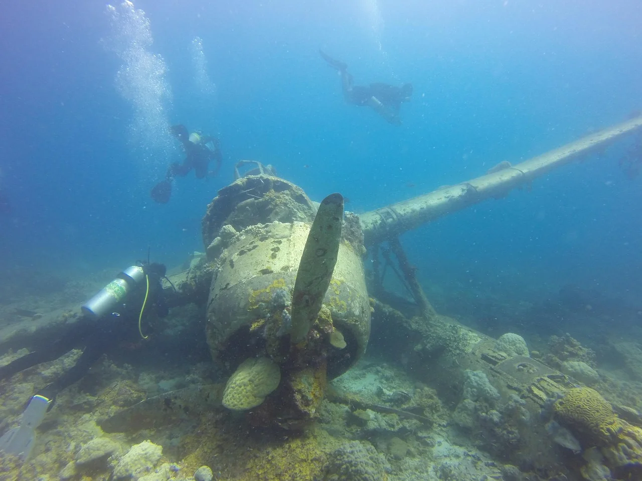 Unveiling the Remains of a Disaster That Happened 71 Years Ago